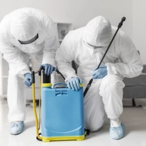 شركة مكافحة حشرات الصديق 