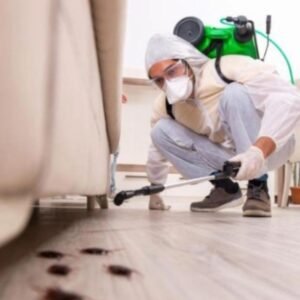 شركة مكافحة حشرات العباسية 