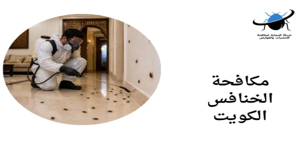 مكافحة الخنافس الكويت