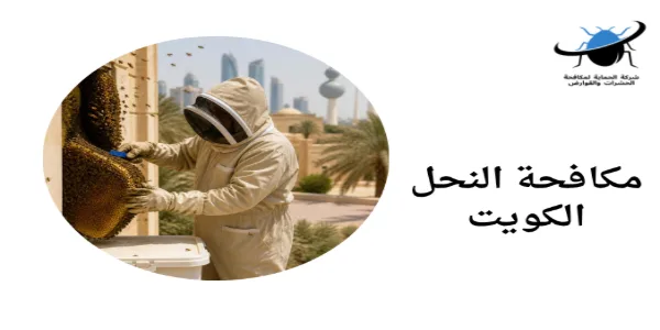 شركة مكافحة الذباب بالكويت